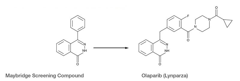 Why use chemical probes? 